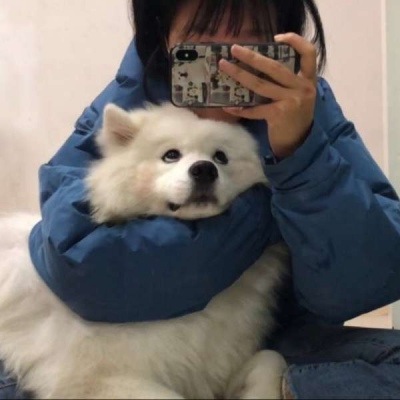 对象不是人系列情头像(22张)