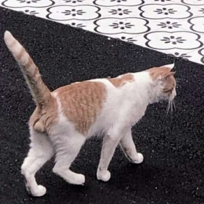 对象不是人系列情头像(22张)