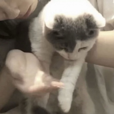 对象不是人系列情头像(22张)