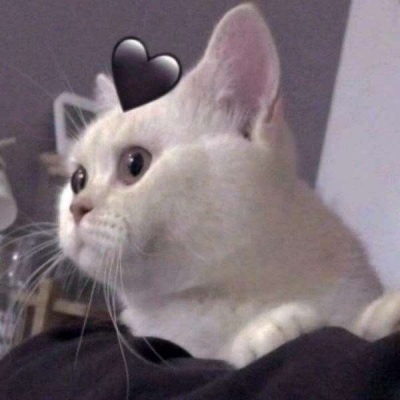 对象不是人系列情头像(22张)