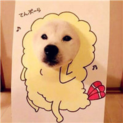 搞怪手绘情侣头像(精选66张)