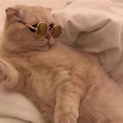 搞怪手绘情侣头像(精选66张)