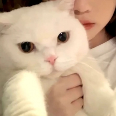 2020情侣头像专用无水印(精选20张)