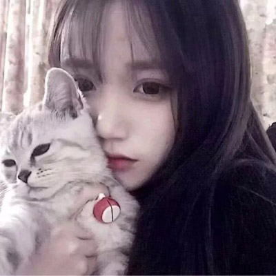 高清女生抱猫咪的头像(精选24张)