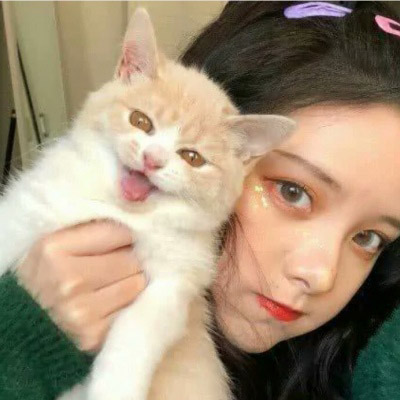 高清女生抱猫咪的头像(精选24张)