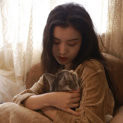高清女生抱猫咪的头像(精选24张)