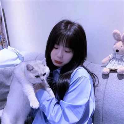 高清女生抱猫咪的头像(精选24张)