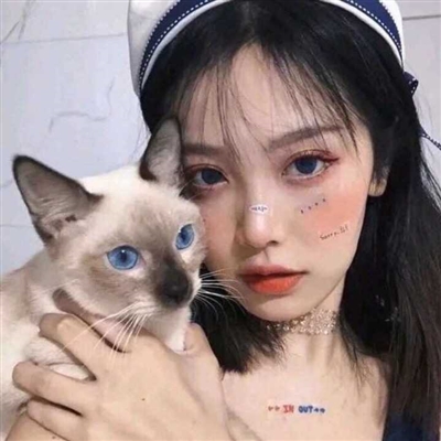 高清女生抱猫咪的头像(精选24张)