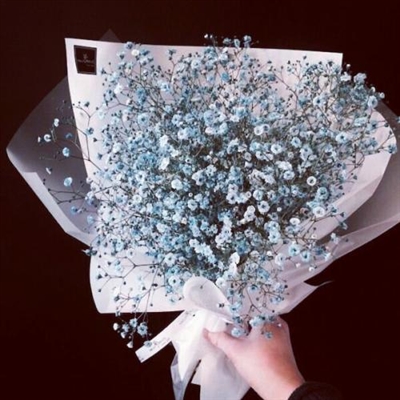 女生手捧满天星头像(精选15张)