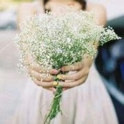 女生手捧满天星头像(精选15张)