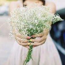 女生手捧满天星头像(精选15张)