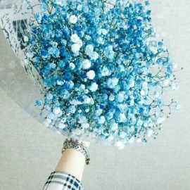 女生手捧满天星头像(精选15张)