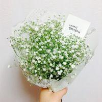 女生手捧满天星头像(精选15张)