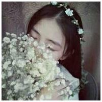 女生手捧满天星头像(精选15张)