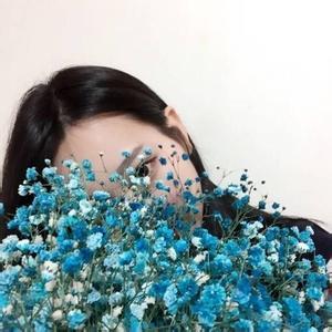 女生手捧满天星头像(精选15张)