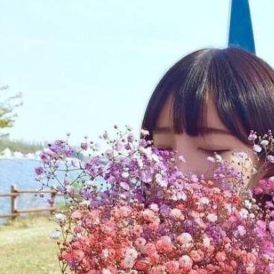 女生手捧满天星头像(精选15张)