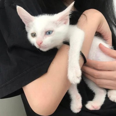 2023漂亮唯美的qq女生头像(共20张)