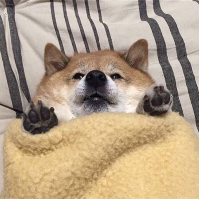 沙雕又好看的头像(精选18张)