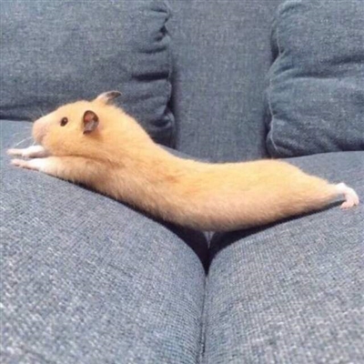 沙雕又好看的头像(精选18张)