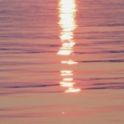 寓意好运连连的微信头像图片(共16张)