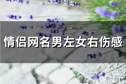 情侣网名男左女右伤感(精选100个)