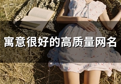 寓意很好的高质量网名(115个) 寓意很好的高质量网名(115个)