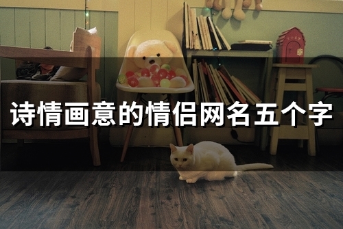 诗情画意的情侣网名五个字(共177个)