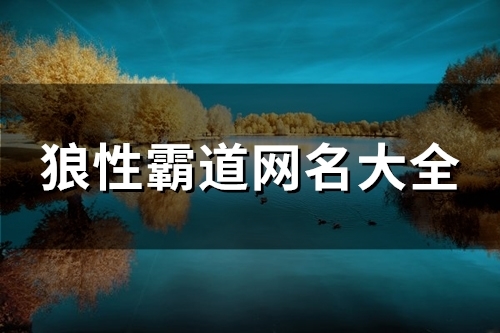 狼性霸道网名大全(优选168个)