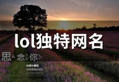 lol独特网名(187个)