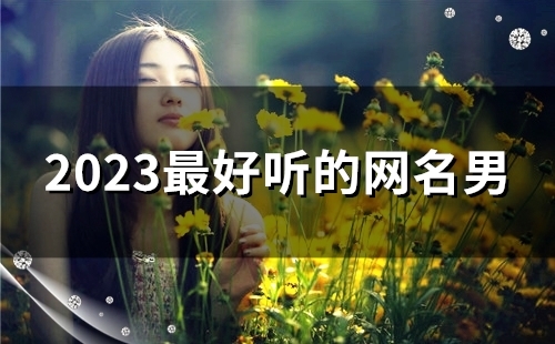 2023最好听的网名男(共173个)