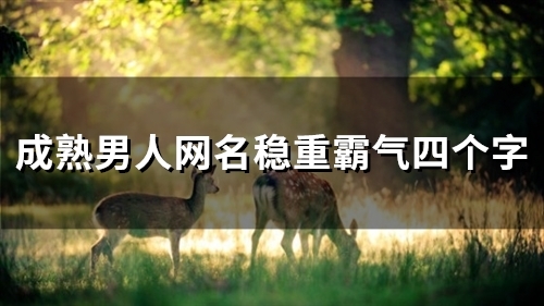 成熟男人网名稳重霸气四个字(精选196个) 成熟男人网名稳重霸气四个字(精选196个)