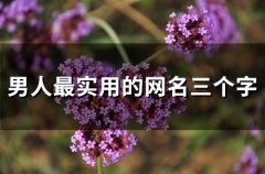男人最实用的网名三个字(162个)