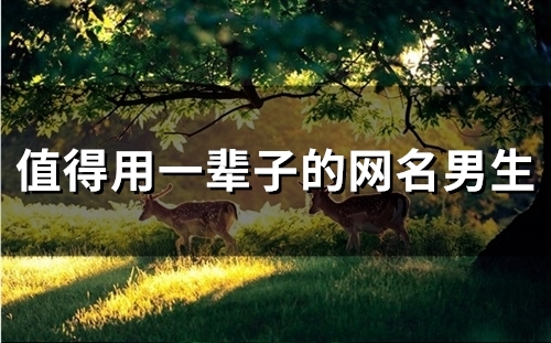 值得用一辈子的网名男生(精选183个) 值得用一辈子的网名男生(精选183个)