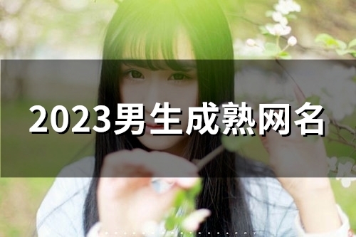 2023男生成熟网名(189个)