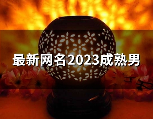 最新网名2023成熟男(精选198个)