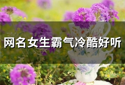 网名女生霸气冷酷好听(共161个)