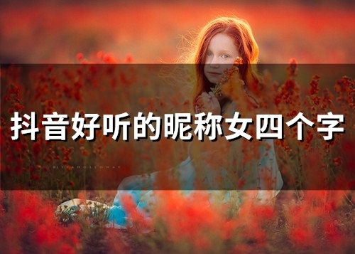 抖音好听的昵称女四个字(161个)