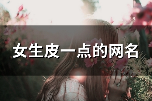 女生皮一点的网名(161个) 女生皮一点的网名(161个)