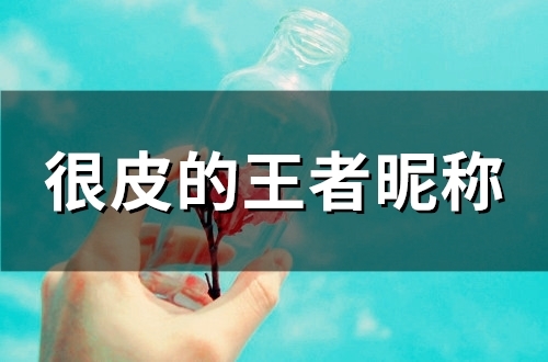 很皮的王者昵称(76个)