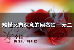 难懂又有深意的网名独一无二(188个)