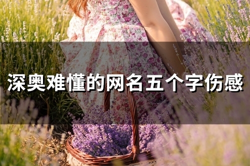 深奥难懂的网名五个字伤感(162个)