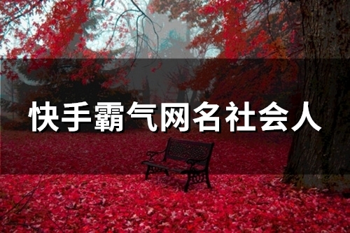 快手霸气网名社会人(优选196个)