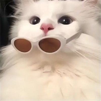 不明显的情头一人一张(18张)