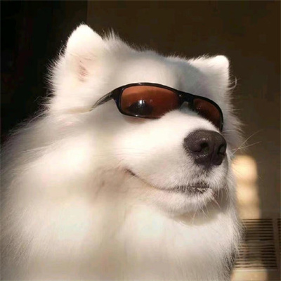 不明显的情头一人一张(18张)