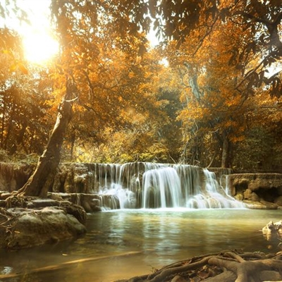 2023年最好旺财山水风景头像(共20张)