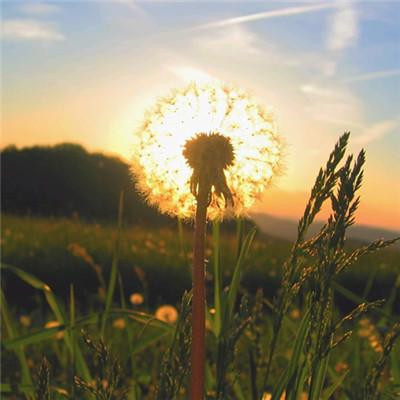 2023最吉利的微信头像(共20张)