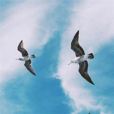 2023最吉利的微信头像(共20张)