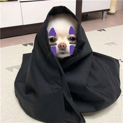 2023最沙雕的头像(精选24张)