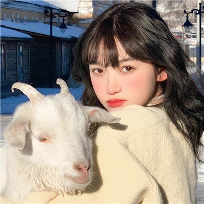 好看又很高清的女头合集(优选22张)