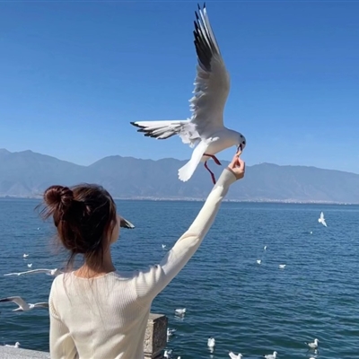 有意境的女生背影头像大全精选(优选18张)